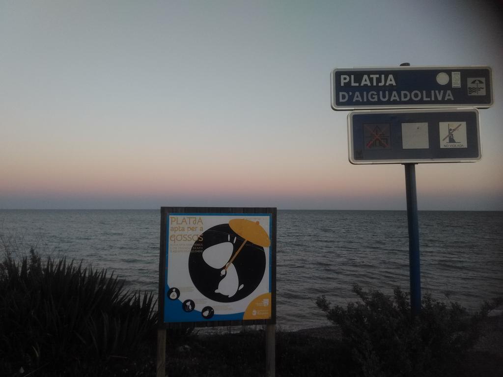 Apartamentos Aigua Oliva Vinarós Εξωτερικό φωτογραφία